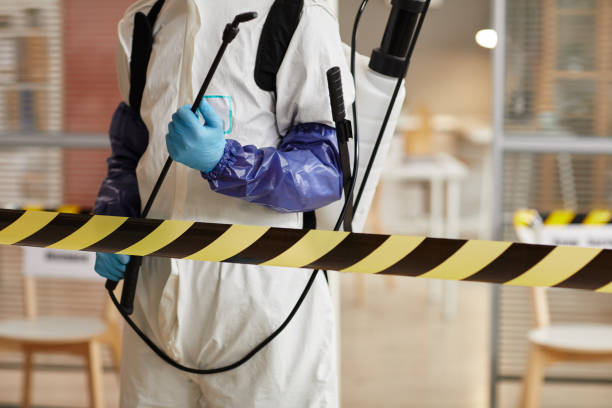 Professional Blood Cleanup technician working in Pacific Palisades, CA